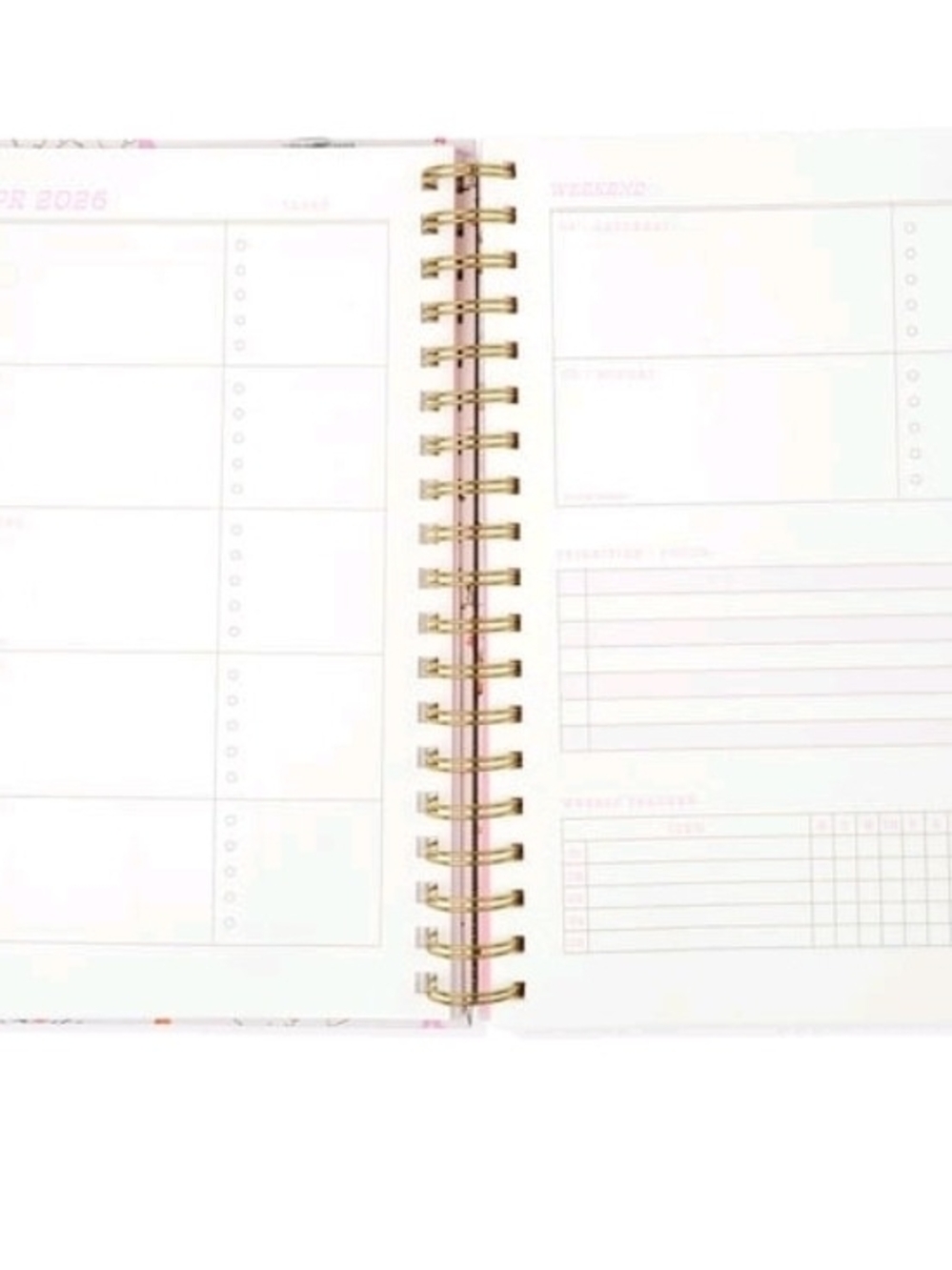 Pink 'Not My First Rodeo' 15-Month Planner - Picture 2 of 5